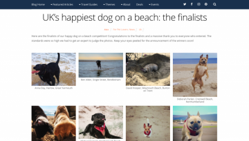 UK’s happiest dog on a beach the finalists Snaptrip